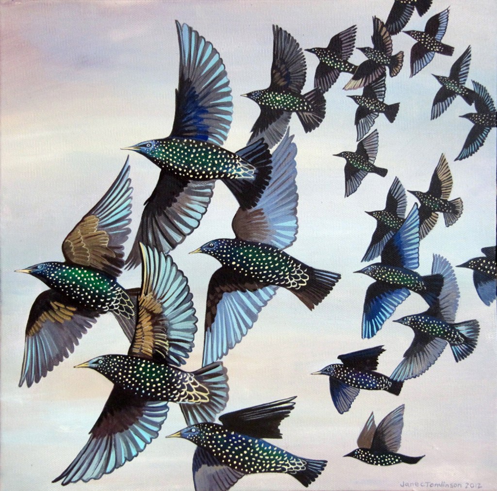 Painting of Starling Murmuration - Jane Tomlinson (c) 2012