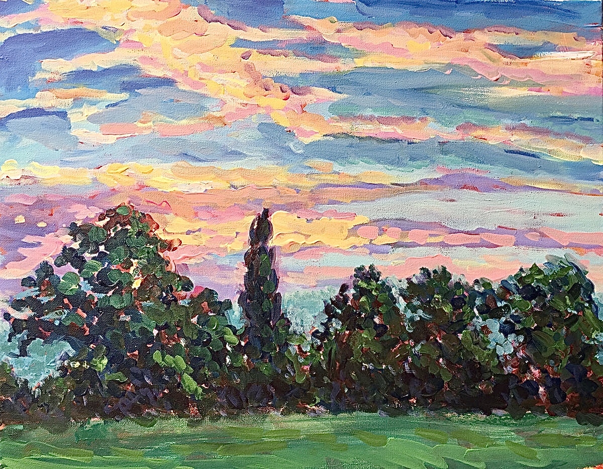 Watching Birds – The Dawn Chorus